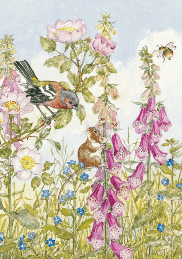 Molly Brett - Chaffinch Field Mouse, Foxgloves and Bee