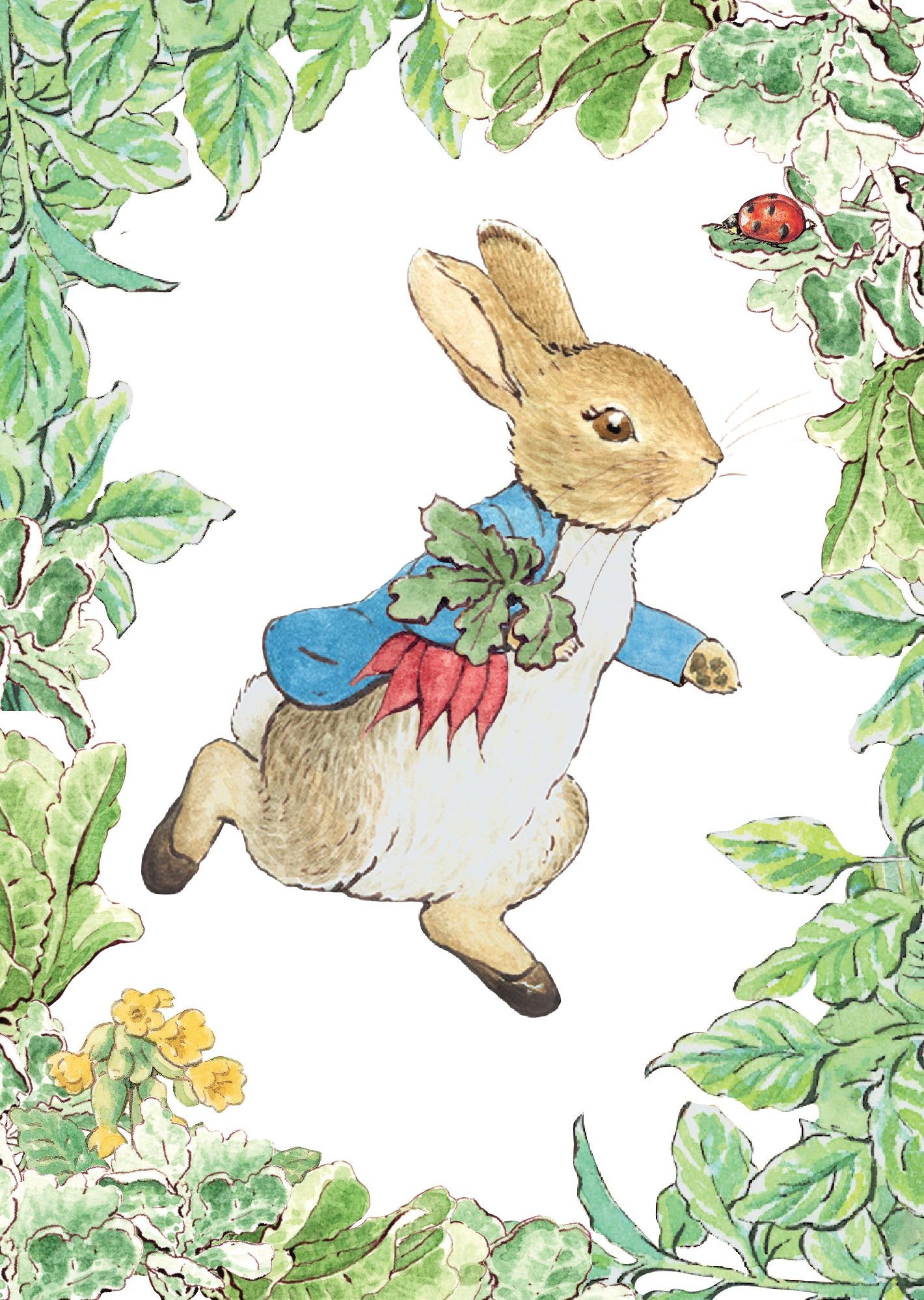 Beatrix Potter Wenskaart - Peter Rabbit with Radishes