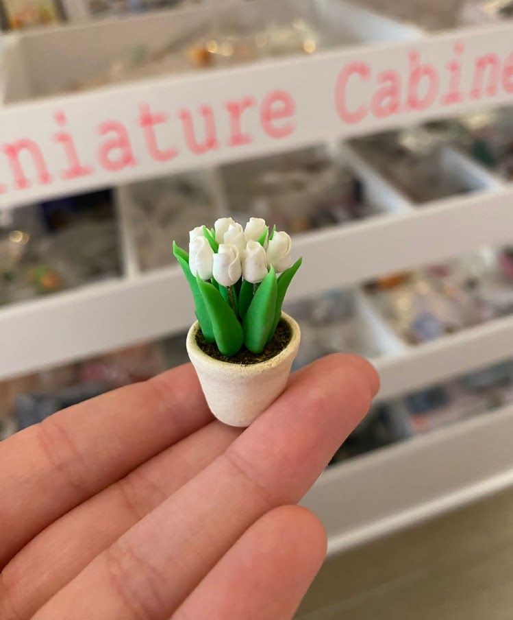 Miniatuur - Tulpen Wit
