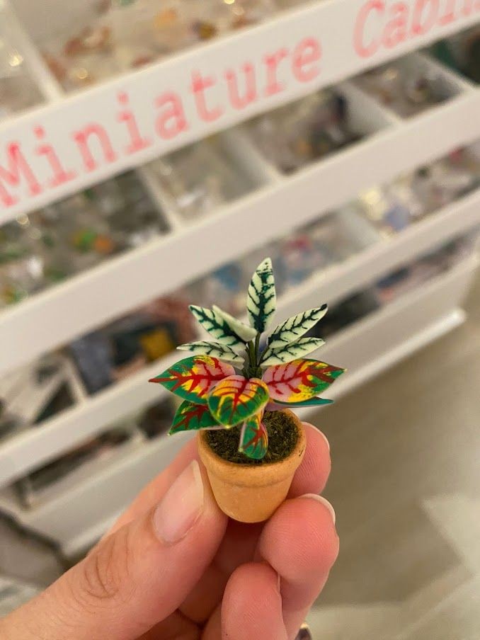 Miniature - Groene Plant